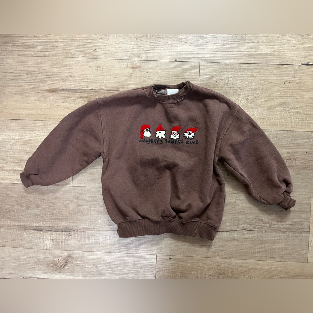 Zara Boys Brown Crewneck Sweatshirt